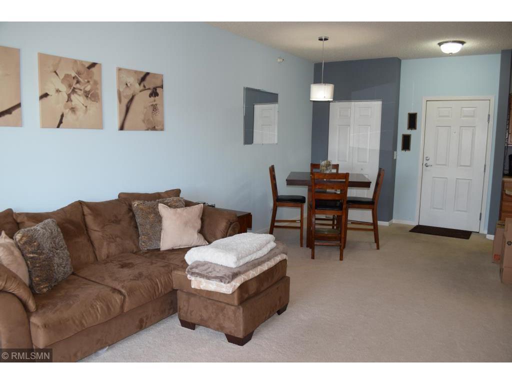 114200 Hundertmark Rd Unit 311, Chaska, MN 55318 Condo for Rent in