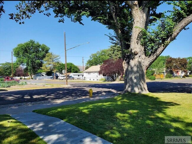 Large trees - 756 N 12th Ave