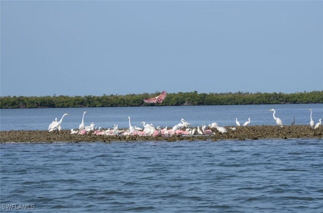 Building Photo - 242 Newport Dr