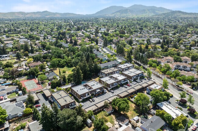 context - Clayton Hills
