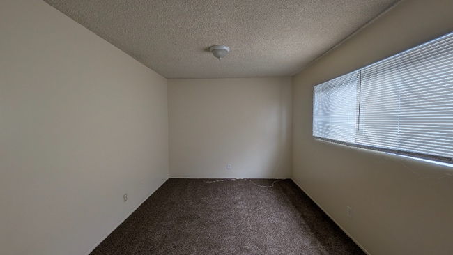 Building Photo - 905 Daisy Ave