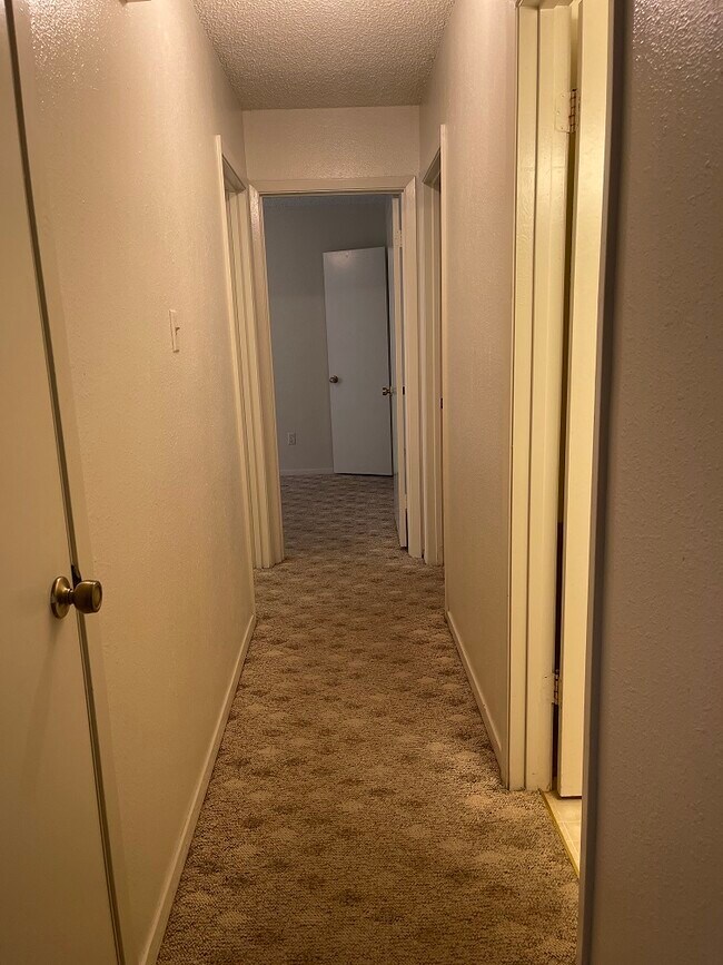 184 Co Rd 2302, Mineola, TX 75773 House Rental in Mineola, TX