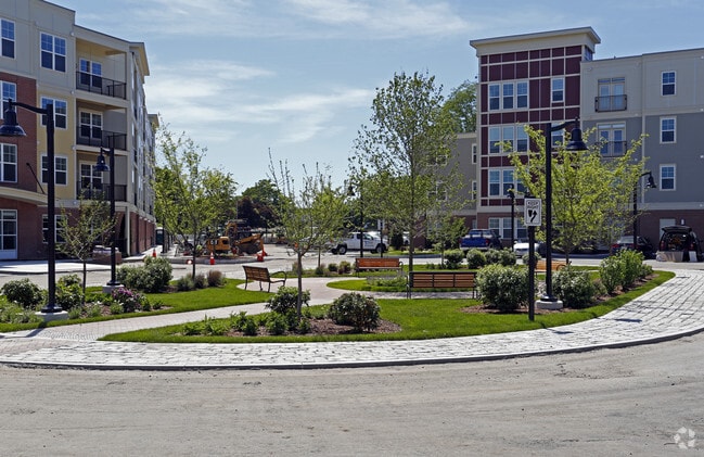 Bell Watertown - River Birch at Watertown