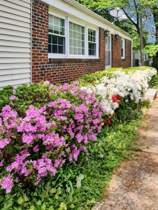 Building Photo - Charming Mid-Century Cape Cod SFH w/4 Bedr...