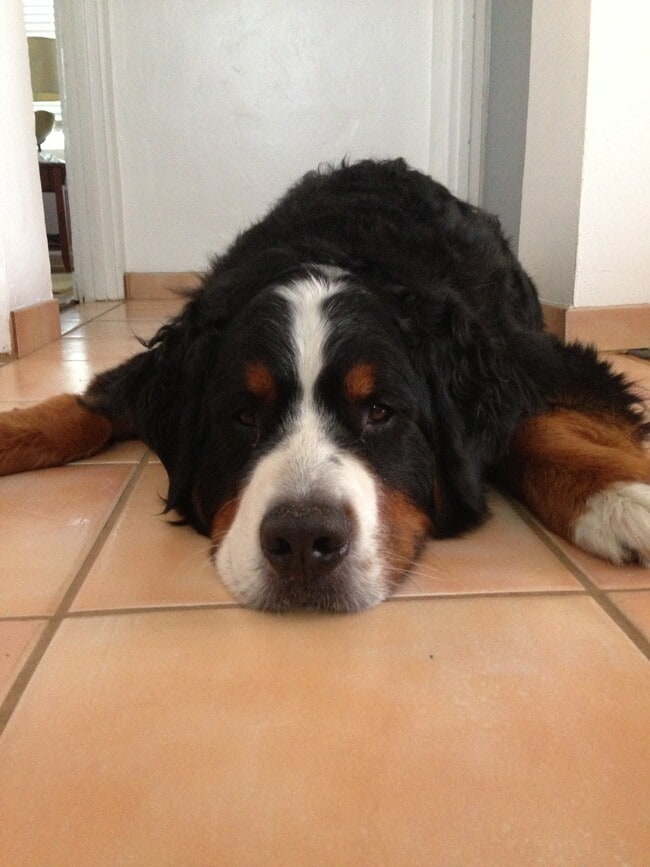 Building Photo - 1036 Felspar St