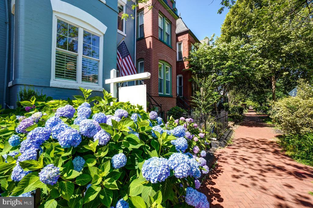 Primary Photo - 1241 G St NE