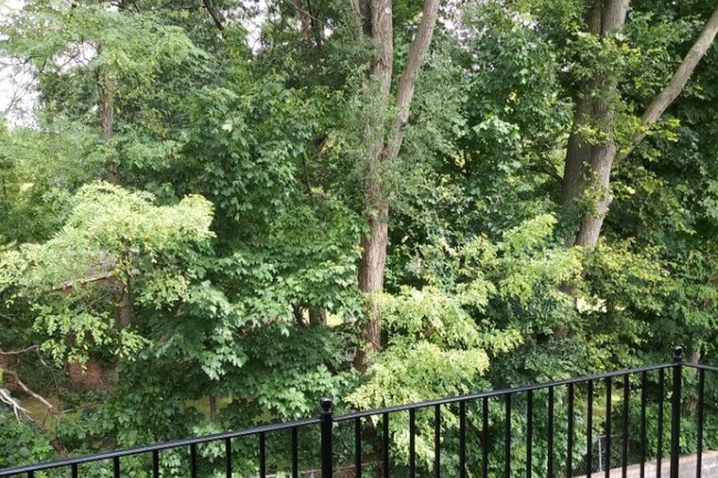 View from second bedroom balcony - Hawk Lake Apartments & Townhomes