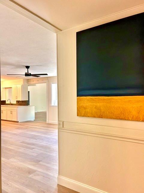 Foto del edificio - 439 Brady Ln