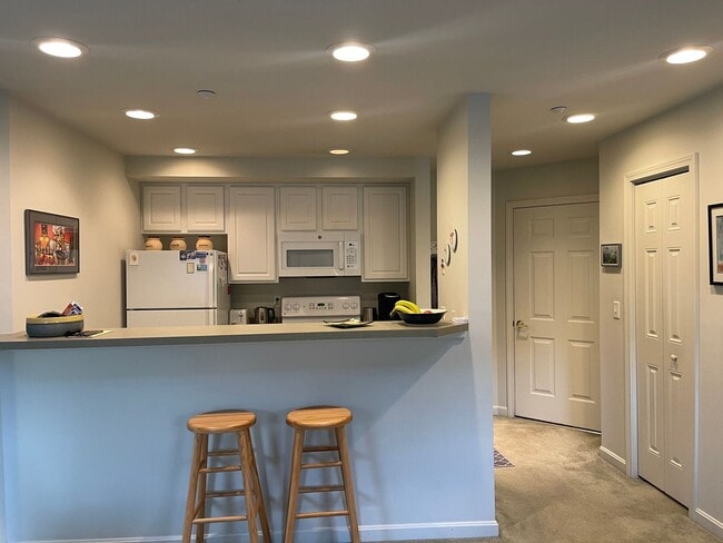 Photo - Furnished One Bedroom, 6 month lease Apartment