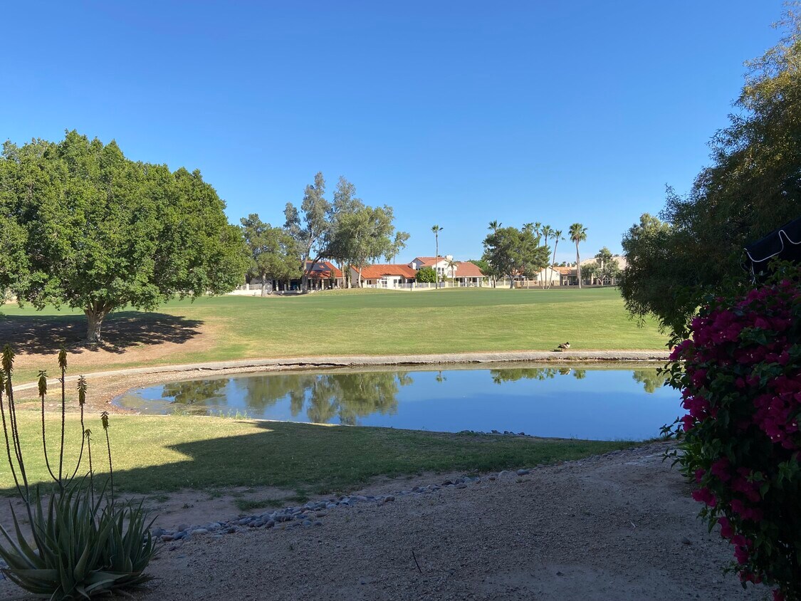 7101 W Beardsley Rd Unit 321, Glendale, AZ 85308 Condo for Rent in