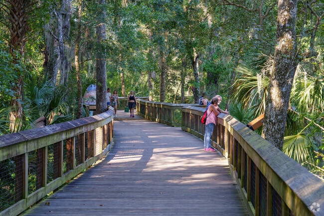 Enjoy a leisurely walk in nature at Blue Springs State Park only minutes from DeBary.