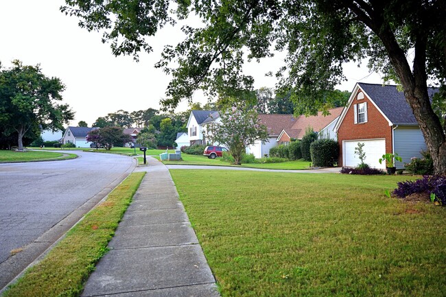 Street to the left - 60 Shenandoah Dr