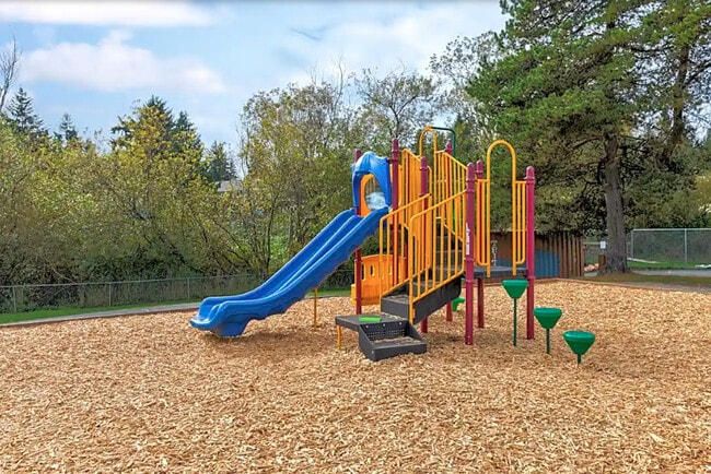 Playground - Beaver Cove