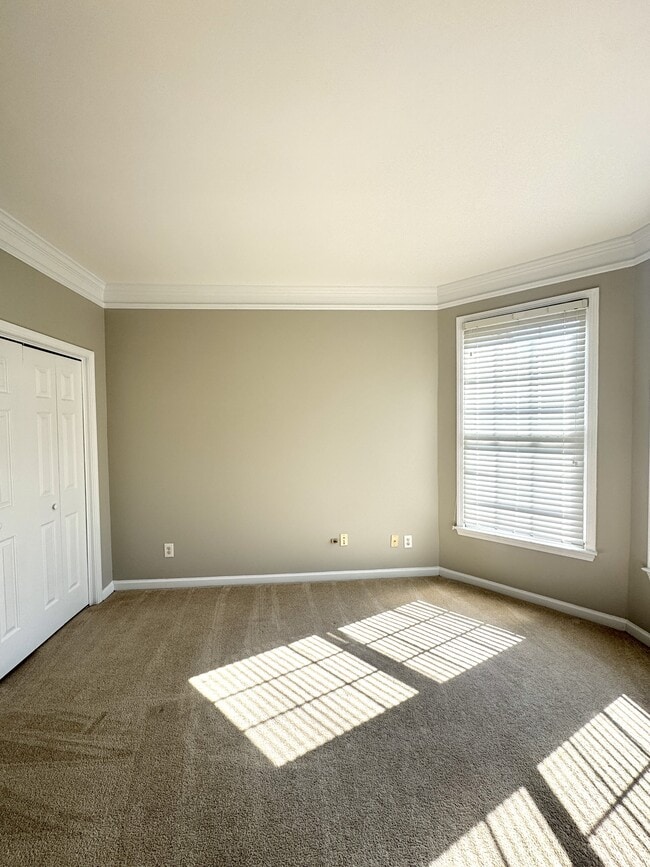 Building Photo - 137 Towne Park Dr