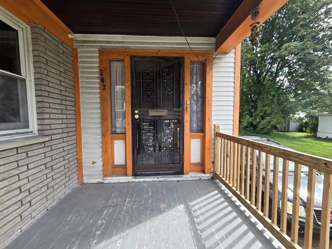 front porch - 263 E Delavan Ave