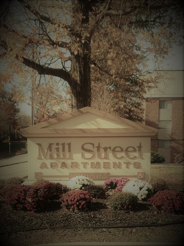 Primary Photo - Mill Street Apartments
