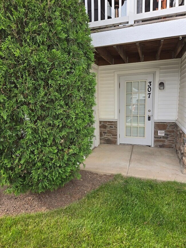 307 Silverstone Dr, Carpentersville, IL 60110 House Rental in