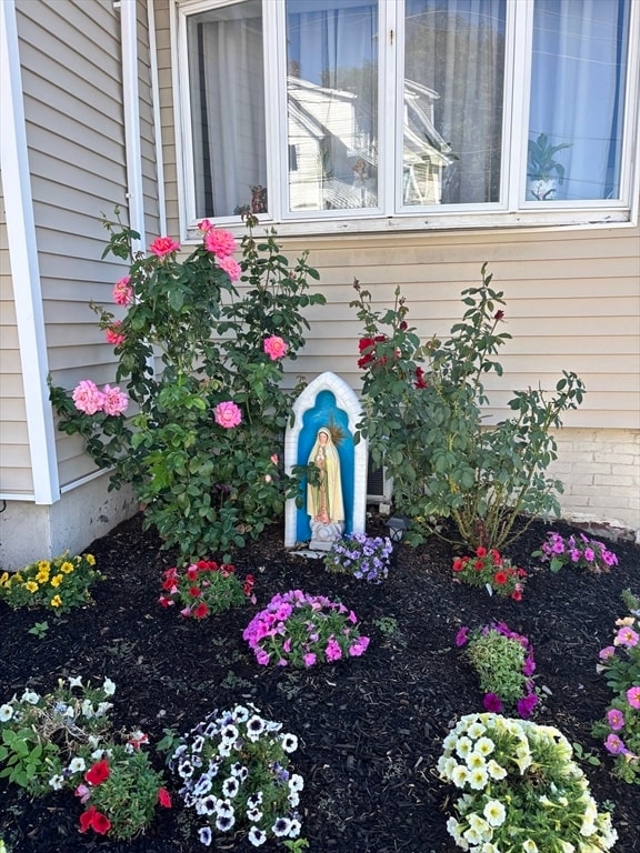 Building Photo - 49 Furness St