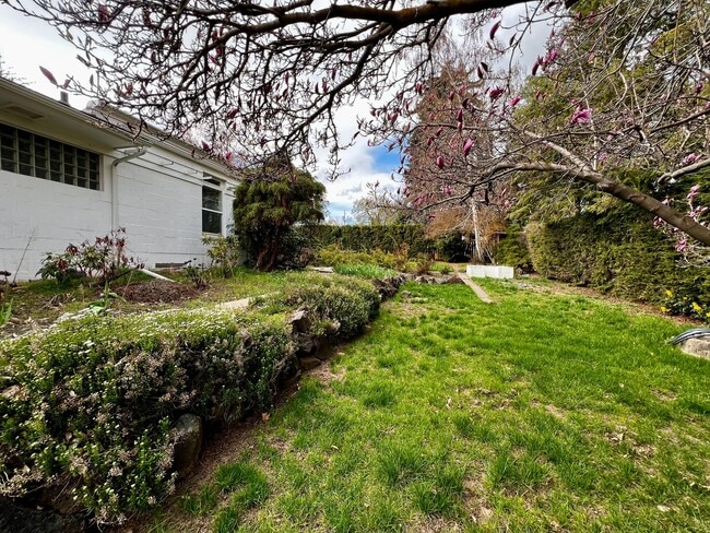 Foto del edificio - Non-Refundable & Security Deposit Total: $3000.00