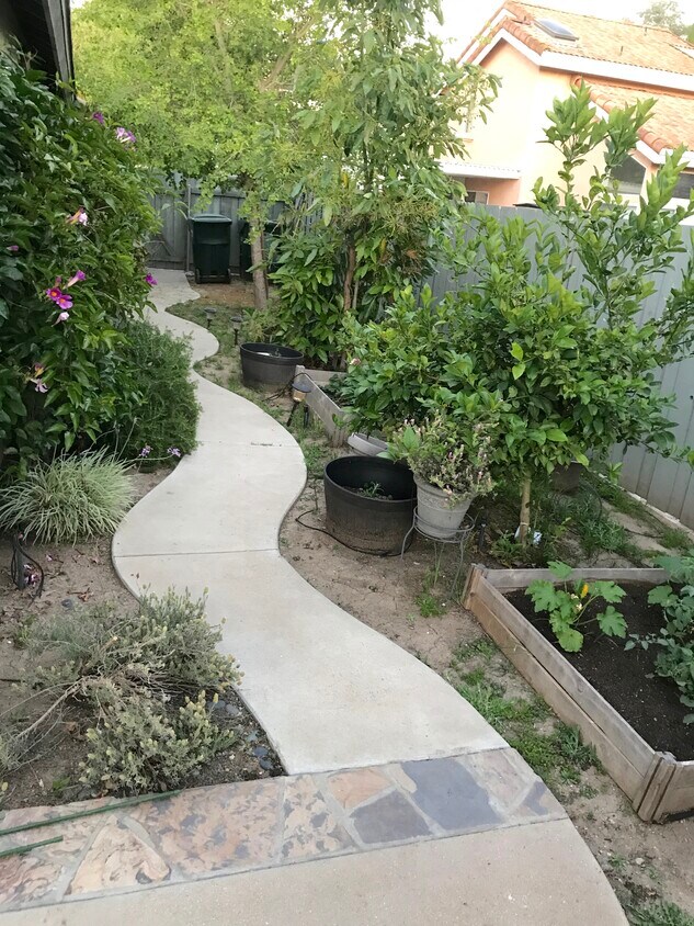 Garden with Avacado and lemon trees - 9307 Diane Ave