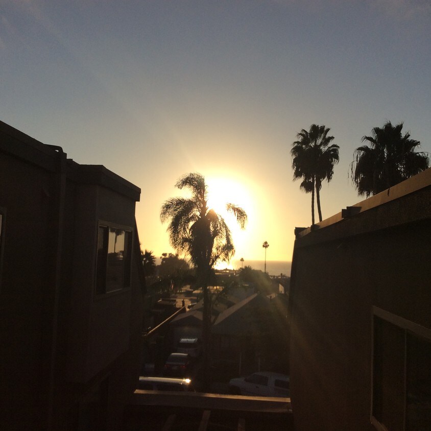 Top-Floor Box-Seats for gorgeous "Sunsets" - 7509 Draper Ave