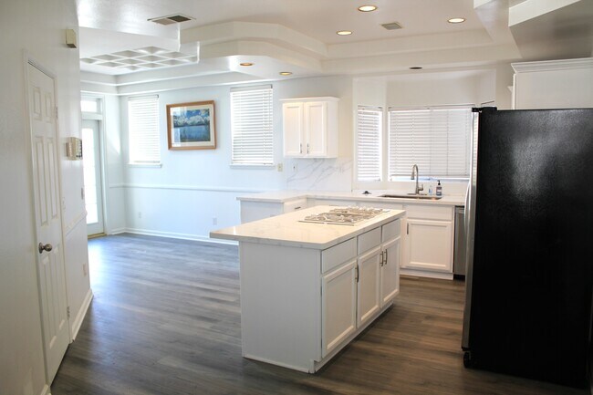 new quartz counters, large single sink - 164 Merrill Pl