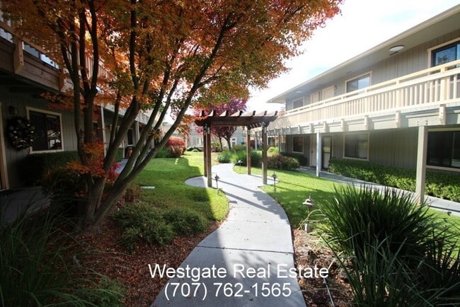 Building Photo - Lovely 1 Bedroom/1 Bathroom West Petaluma ...