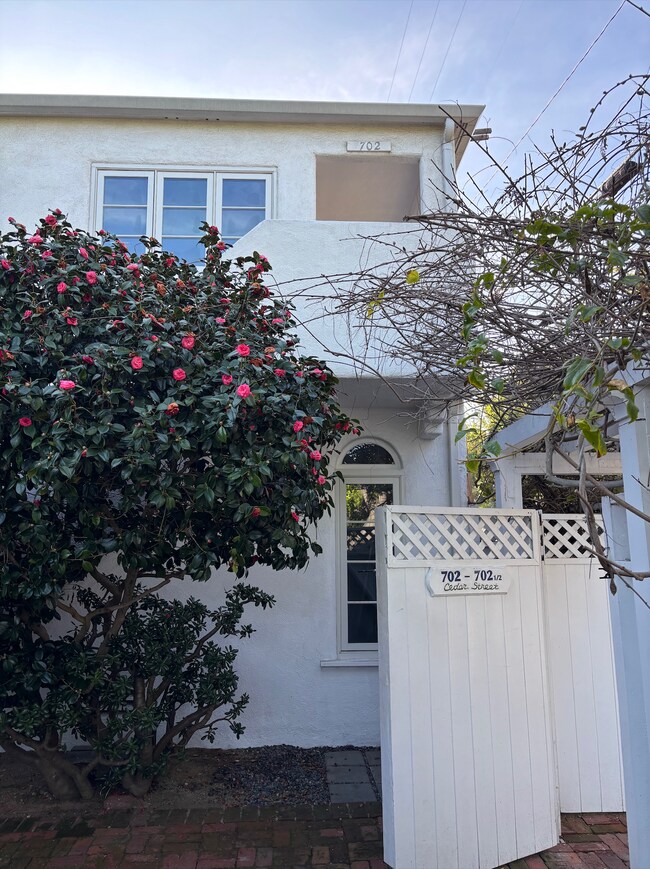 Building Photo - 702 Cedar St