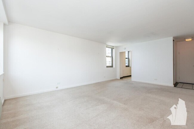 Building Photo - 1 bedroom in Chicago IL 60611