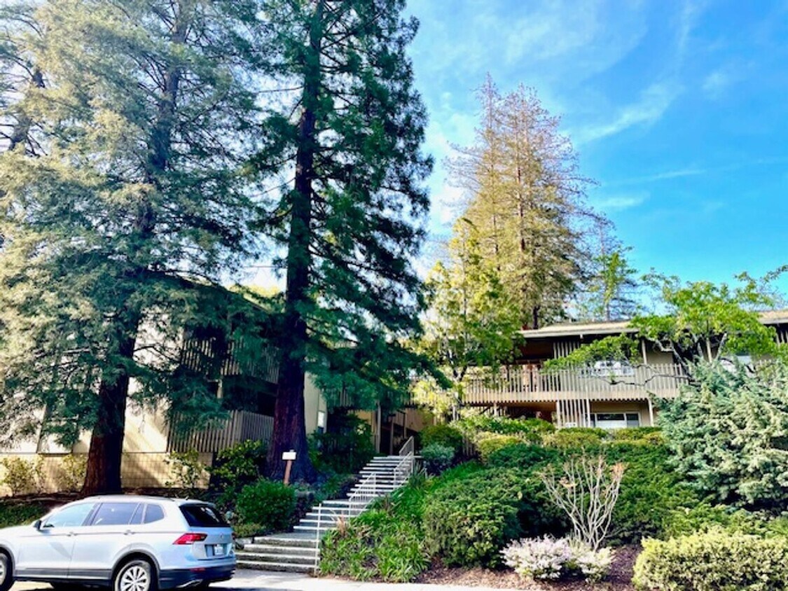 665 Monte Rosa Dr Unit 922, Menlo Park, CA 94025 Condo for Rent in Menlo Park, CA