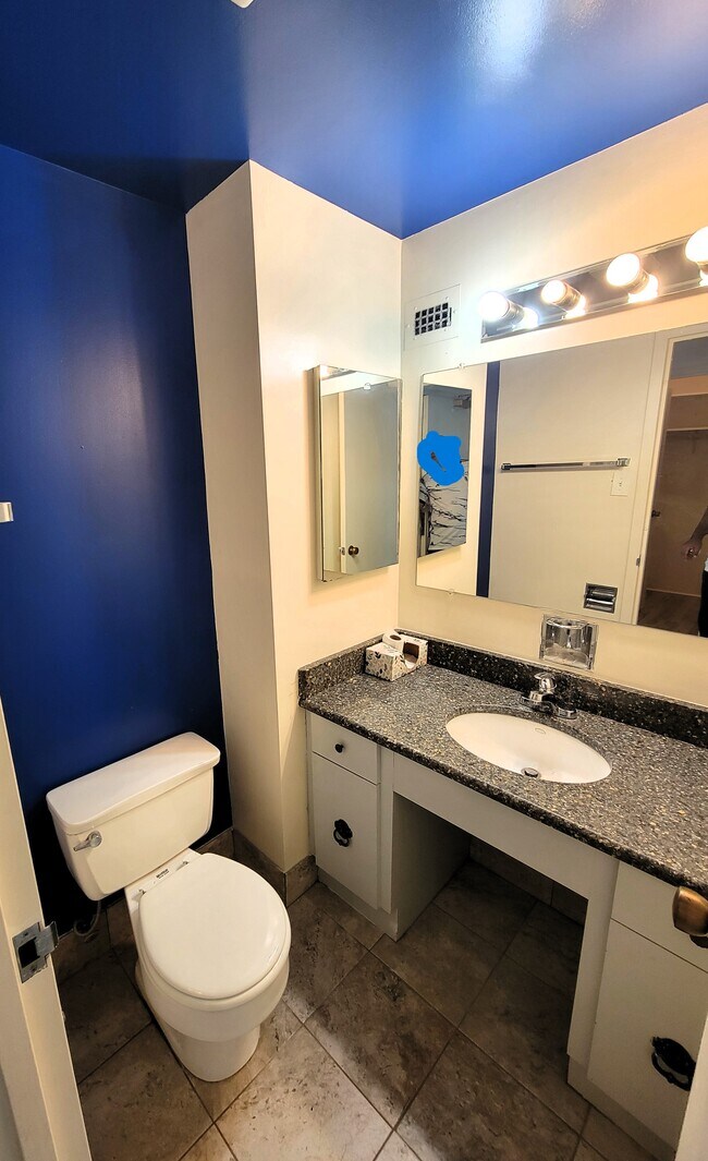 Powder room - 3703 S George Mason Dr