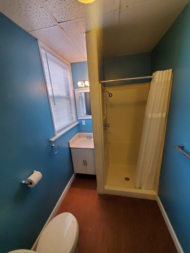 1330 Locust St Unit 1, Dubuque, IA 52001 Condo for Rent in Dubuque