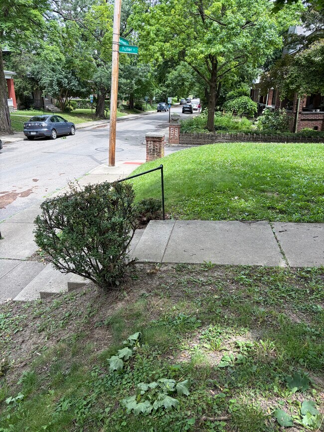 Jardín delantero - 77 E Northwood Ave