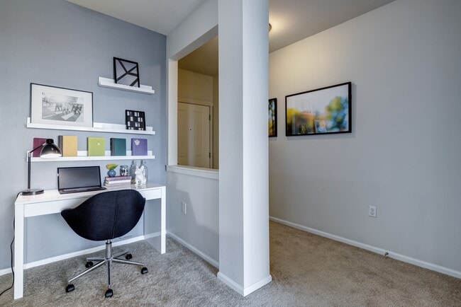 Interior Photo - Apex