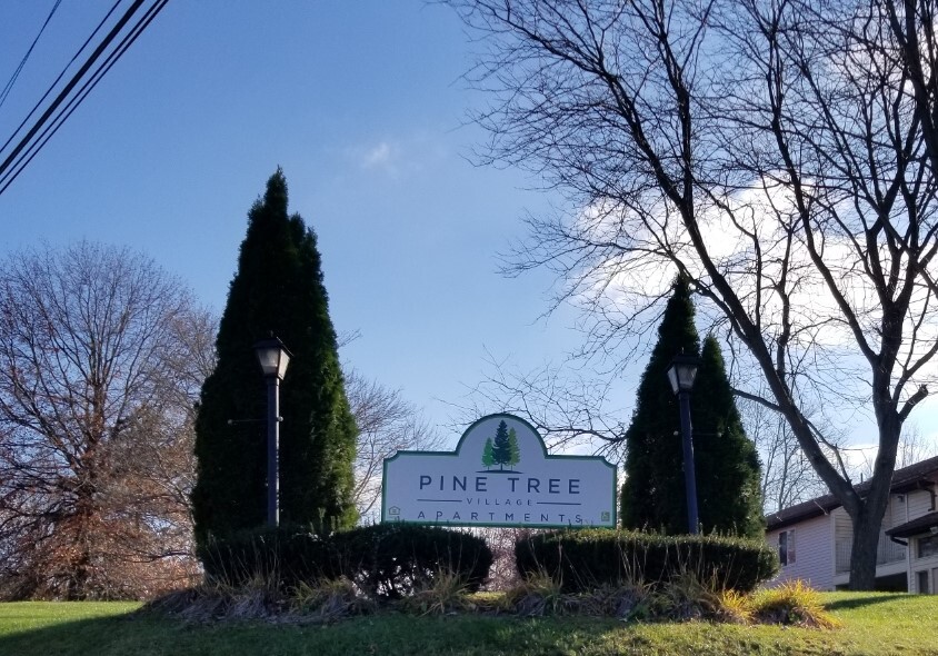 Foto principal - Pine Tree Village Apartments