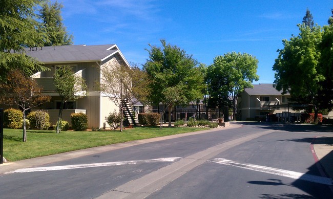 Building Photo - Auburn Creek Apartments