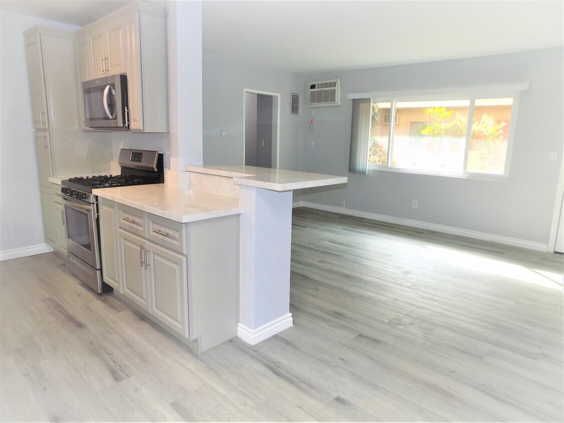 Livinig Room kitchen - 129 W Chevy Chase Dr