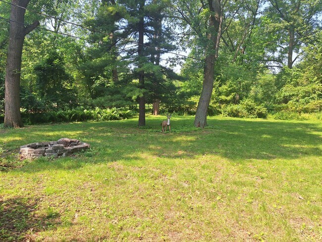 Foto del edificio - 3 bedroom home in Southfield with sprawlin...
