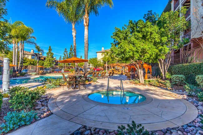 Piscina con estilo de centro turístico - Jefferson at Carmel Mountain Ranch