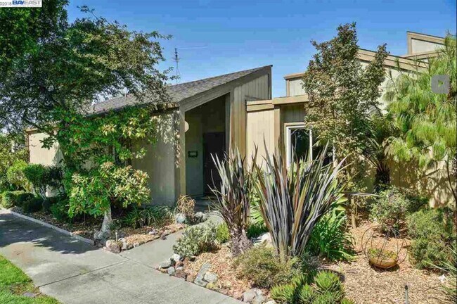 Foto del edificio - 3350 Fir Ave