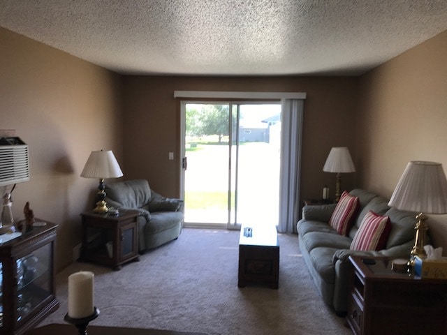 Living room - 3820 7th St S