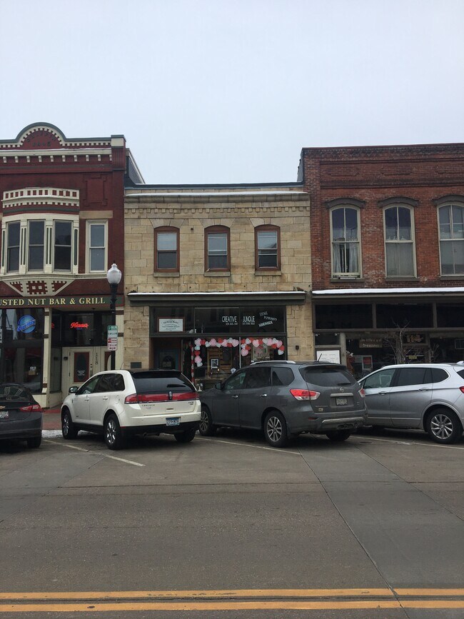 116 2nd St E, Hastings, MN 55033 Townhome Rentals in Hastings MN