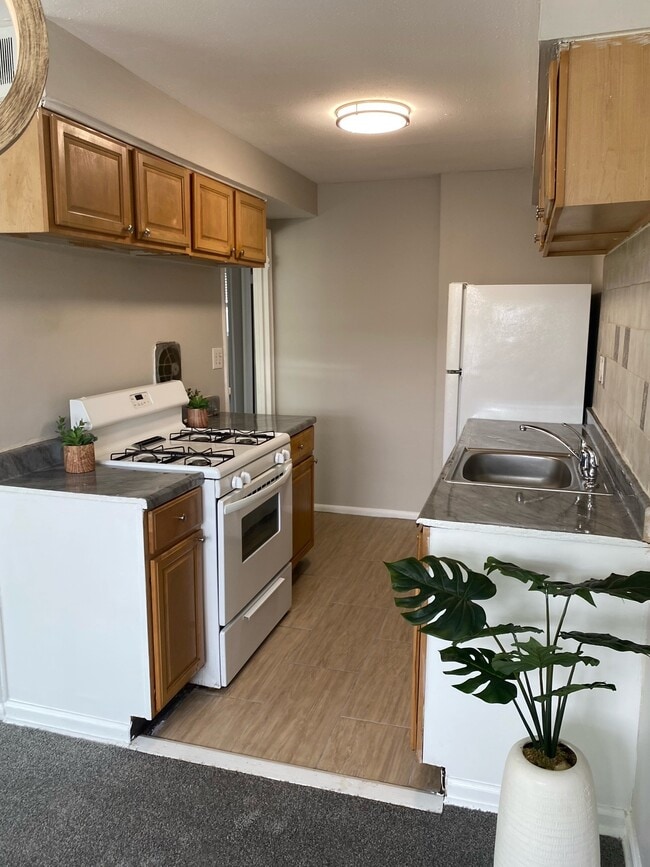 Kitchen - 3416 Ashfield Ln