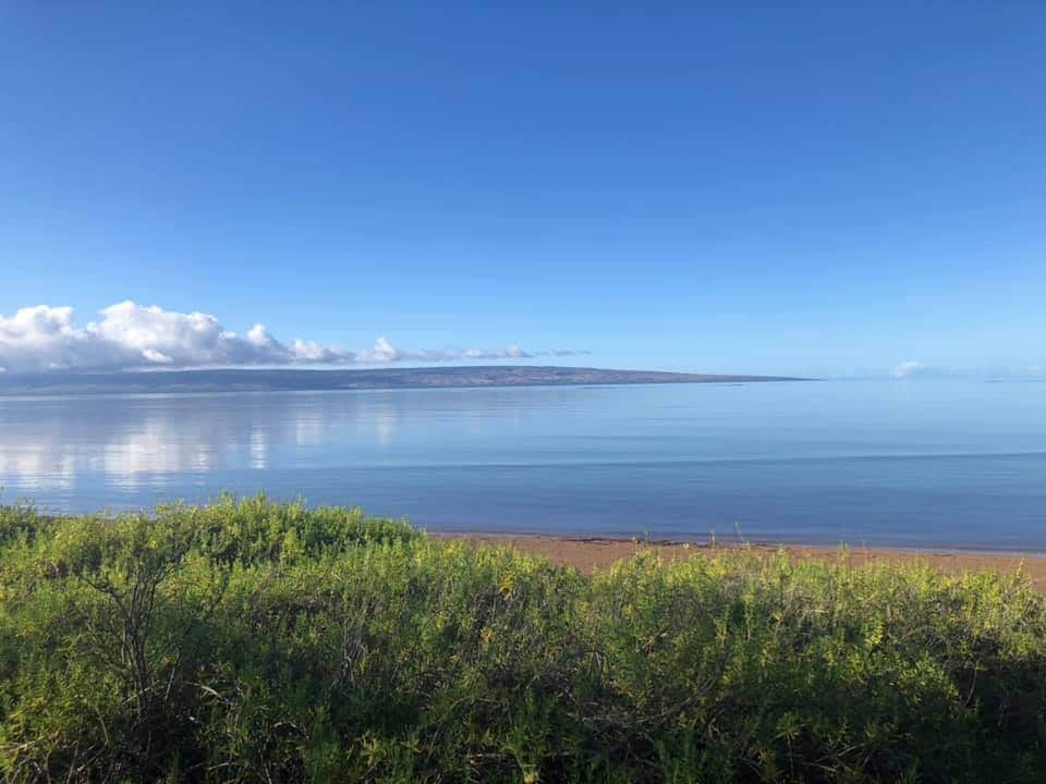 Beach and view from backyard - 2880 Kamehameha V Hwy