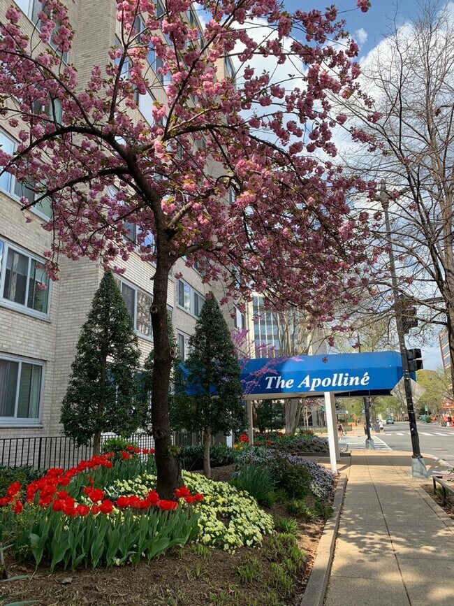 Foto del edificio - 1330 New Hampshire Ave NW