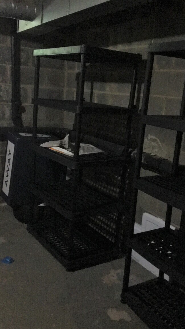 Extra storage in basement - 702 Sharon Garden Ct