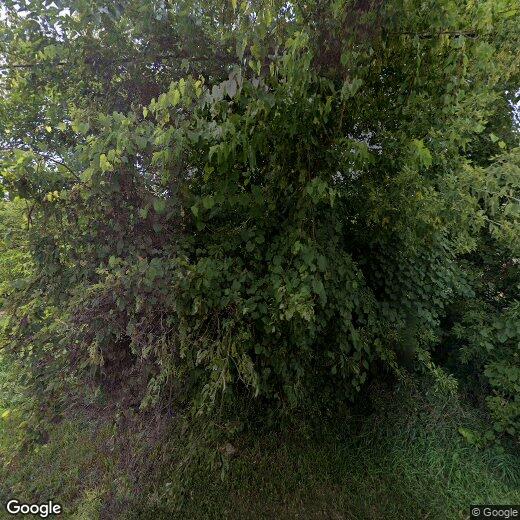 16158 Woodbine St, Detroit, MI 48219 House for Rent in Detroit, MI