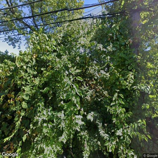 307 S Napoleon Ave, Columbus, OH 43213 Condo for Rent in Columbus, OH