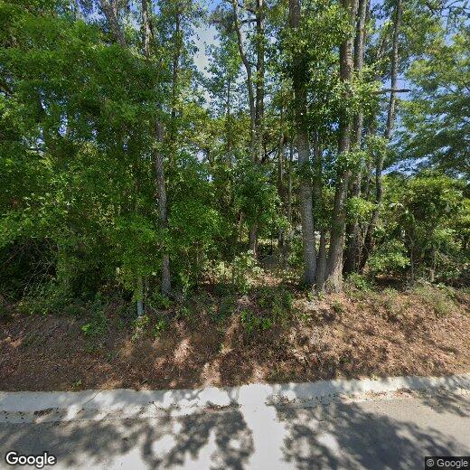 14 Bittie Cir, Beaufort, SC 29906 House Rental in Beaufort, SC