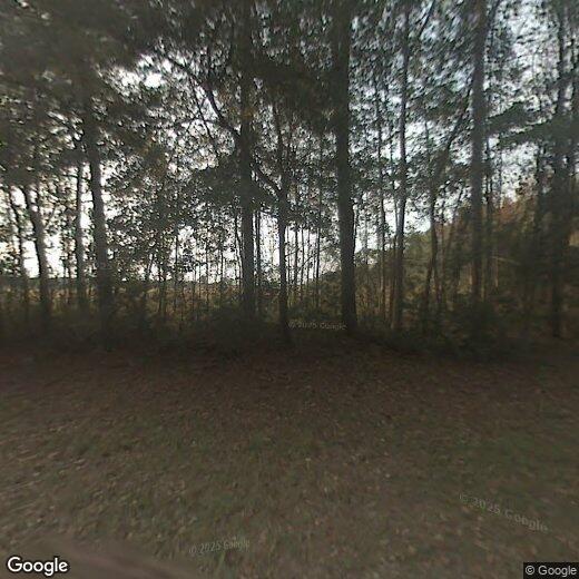 84 Braxton Manor Dr, Port Wentworth, GA 31407 House Rental in Port